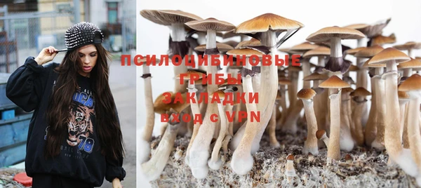 прущие крисы Уссурийск