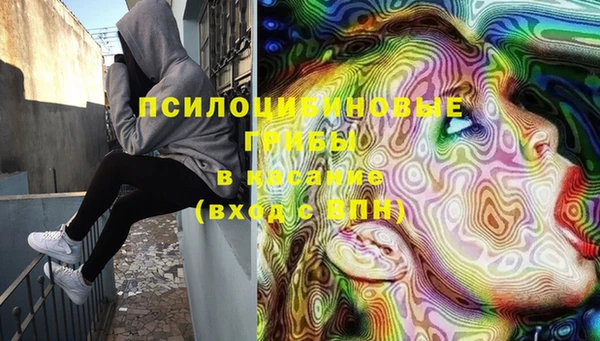 стафф Куйбышев