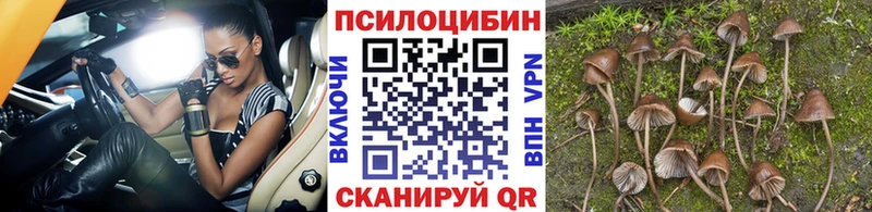 Галлюциногенные грибы прущие грибы кракен вход Вологда купить закладку