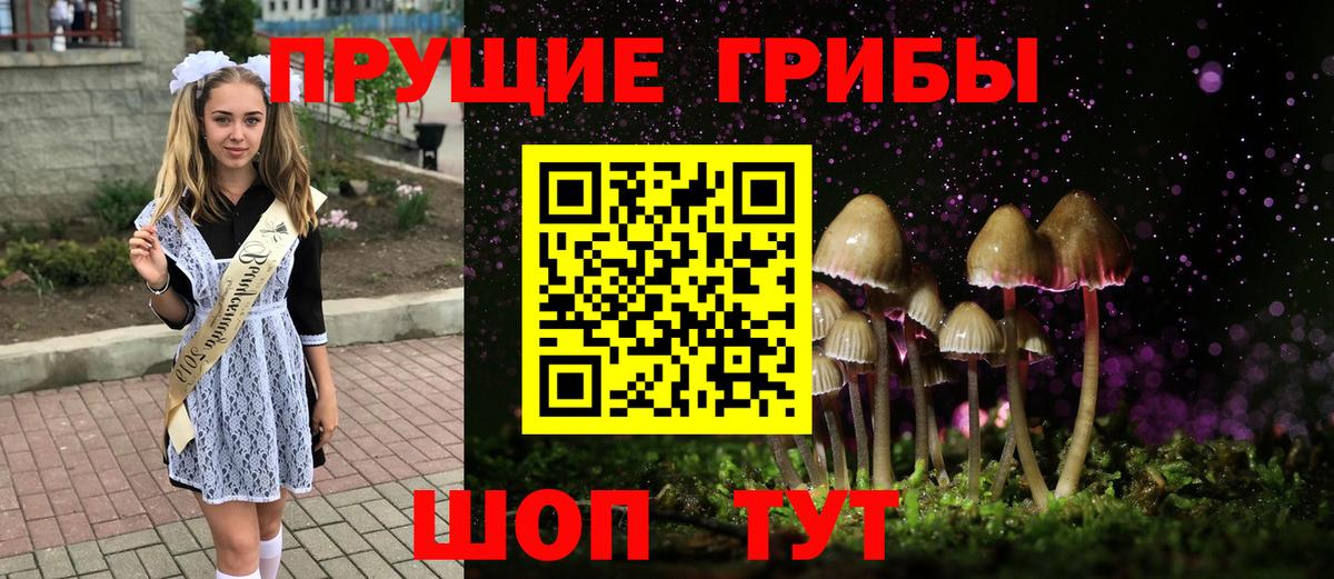 Вологда  Галлюциногенные грибы мухоморы  Вход с VPN  Псилоцибиновые грибы Psilocybe 